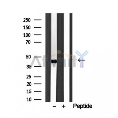 Валидация Affinity DF12002 - 5997