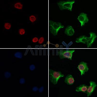 Валидация Affinity DF3110 - 13877