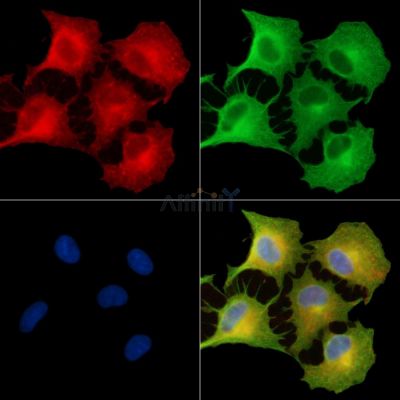 Валидация Affinity DF9547 - 22205