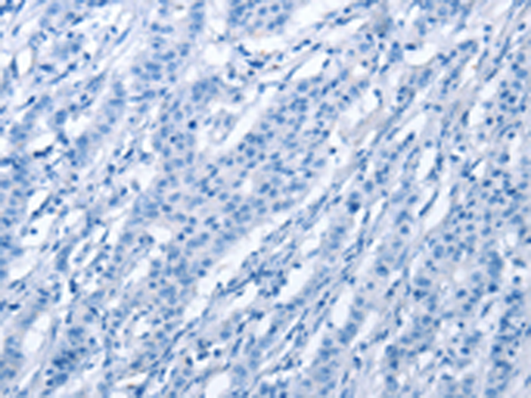 Валидация AssayVector ARM1694(1951)