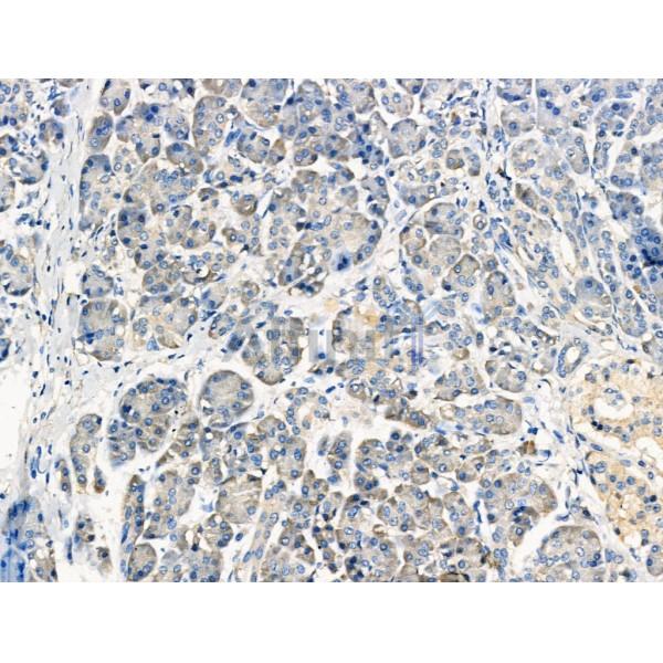 Валидация Affinity DF13387 - 8648