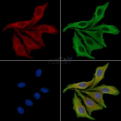 Валидация Affinity DF14325 - 10218