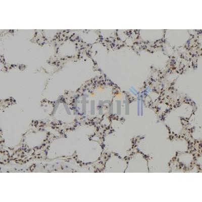 Валидация Affinity AF6244 - 3489