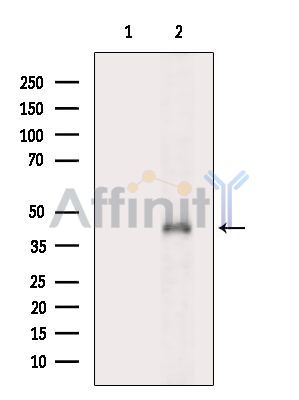 Валидация Affinity DF2824 - 13576