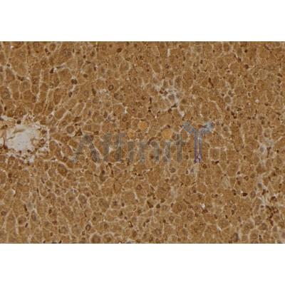 Валидация Affinity DF4493 - 16037