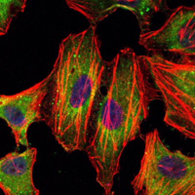 Валидация Affinity BF0354 - 5239