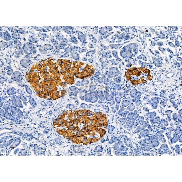 Валидация Affinity DF9831 - 22725