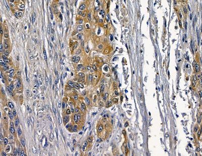 Валидация Affinity DF16034 - 12585