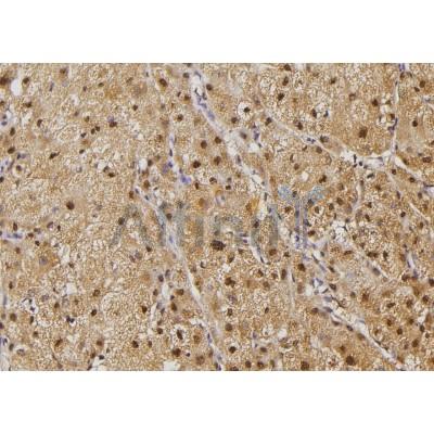 Валидация Affinity DF3427 - 14331