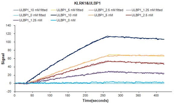 Анализ связывания KLRK1 и ULBP1 методом LSPR