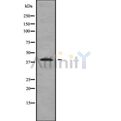 Валидация Affinity DF10044 - 5504