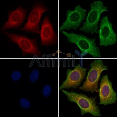 Валидация Affinity DF7816 - 19628