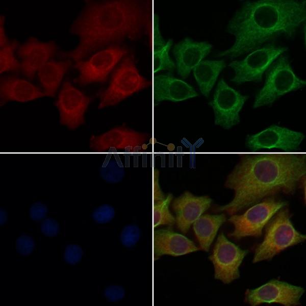 Валидация Affinity DF5032 - 16917