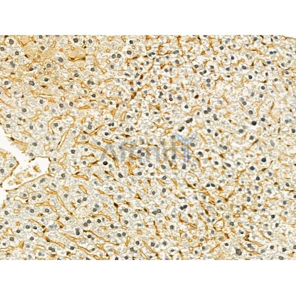 Валидация Affinity DF12239 - 6544