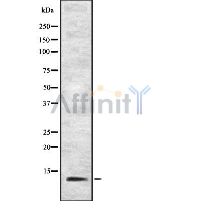 Валидация Affinity DF8989 - 21189