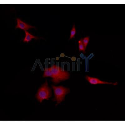 Валидация Affinity DF12023 - 6043