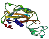 Purinergic Receptor P2X, Ligand Gated Ion Channel 5 (P2RX5) Purinergic Receptor P2X, Ligand Gated Ion Channel 5 (P2RX5)
