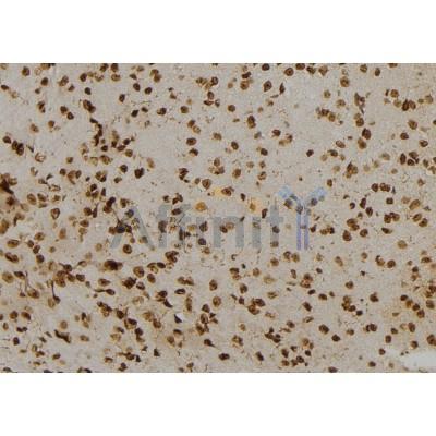 Валидация Affinity DF6863 - 18438