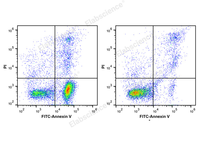 Валидация Elabscience E-CK-A161 - 38