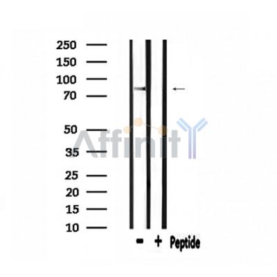 Валидация Affinity DF3527 - 14464