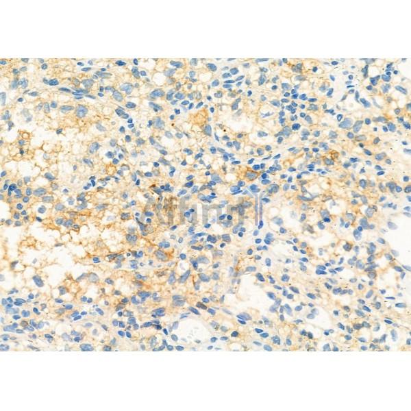 Валидация Affinity DF12420 - 6925