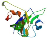 T-Cell Activation Antigen, Increased Late Expression (TACTILE) T-Cell Activation Antigen, Increased Late Expression (TACTILE)