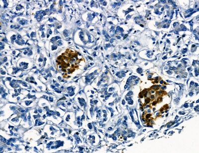 Валидация Affinity DF8725 - 20736