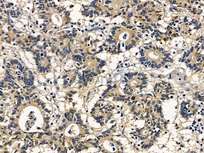 Валидация Affinity DF16099 - 12674