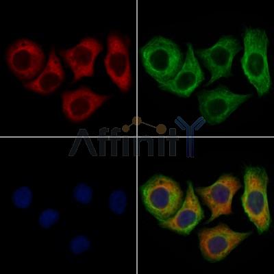 Валидация Affinity DF8583 - 20493