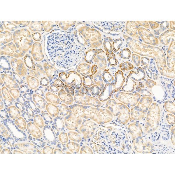 Валидация Affinity DF13379 - 8629