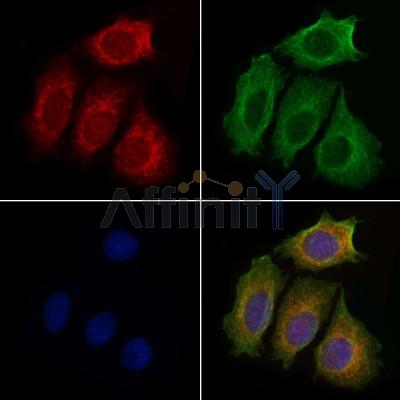 Валидация Affinity DF3872 - 15026