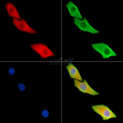 Валидация Affinity DF9553 - 22215