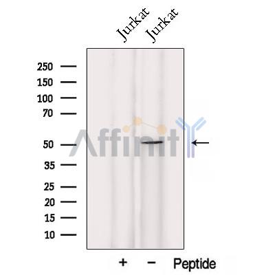 Валидация Affinity DF12790 - 7481