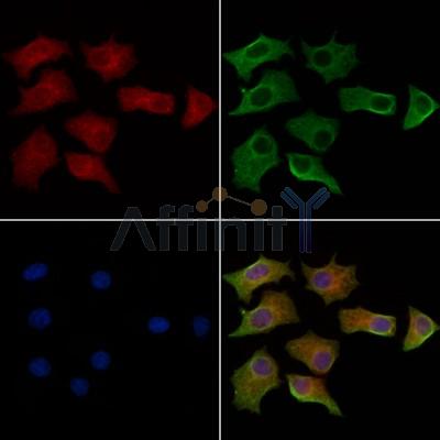 Валидация Affinity AF6405 - 3698