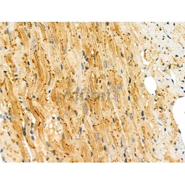 Валидация Affinity DF4697 - 16377