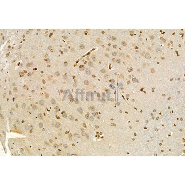 Валидация Affinity DF12043 - 6084