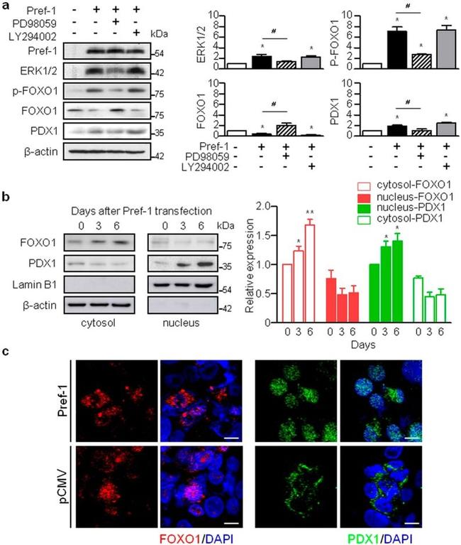 Валидация AssayVector ARM1391(1103)