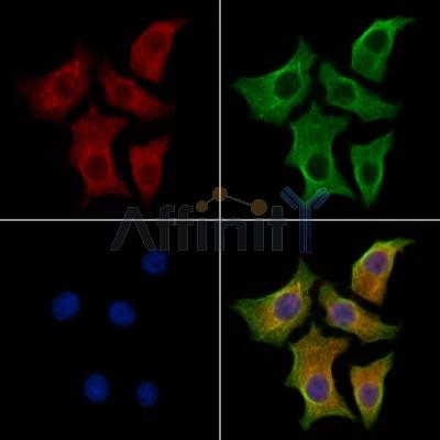 Валидация Affinity DF13033 - 7859