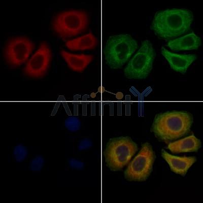 Валидация Affinity DF6286 - 17597