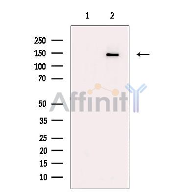 Валидация Affinity DF12026 - 6049
