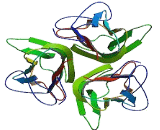 Cluster Of Differentiation 40 Ligand (CD40L) Cluster Of Differentiation 40 Ligand (CD40L)