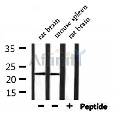 Валидация Affinity DF8718 - 20723