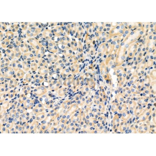 Валидация Affinity DF2204 - 12725