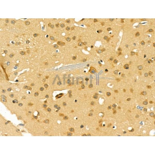 Валидация Affinity AF5235 - 2718