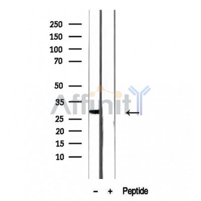 Валидация Affinity DF12263 - 6591