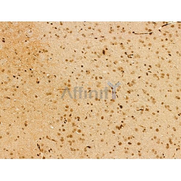 Валидация Affinity DF13167 - 8136