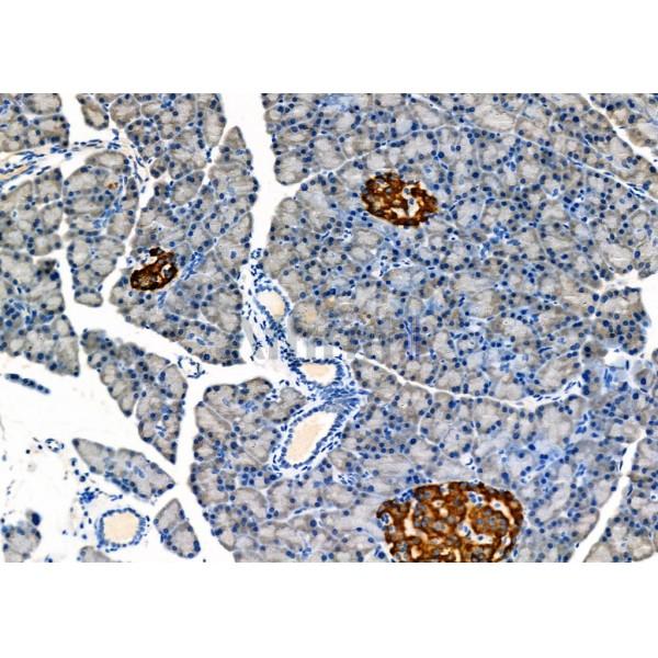 Валидация Affinity DF8117 - 19965