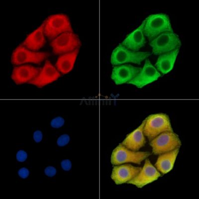 Валидация Affinity DF14694 - 10751