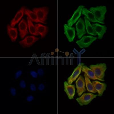 Валидация Affinity DF9194 - 21577