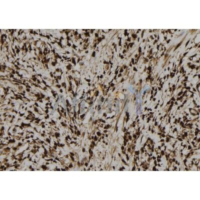 Валидация Affinity DF7535 - 19284